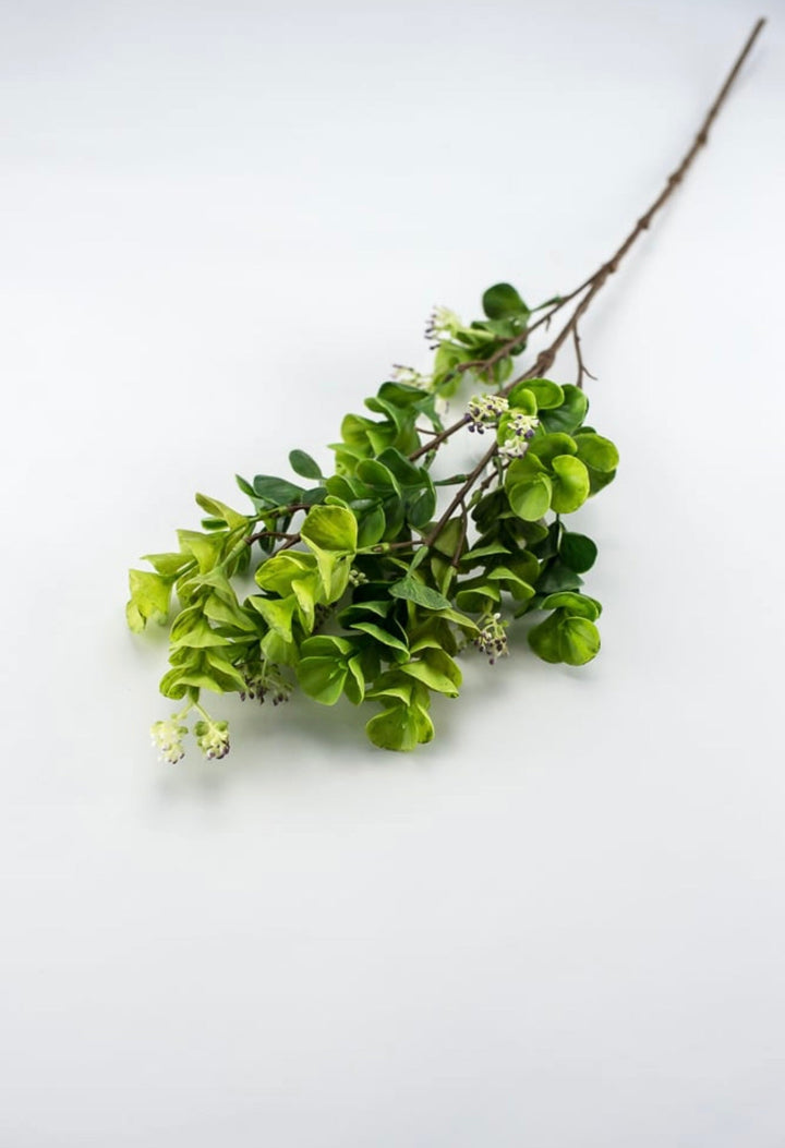 Eucalyptus with purple seeds spray - Greenery Market2310435GP