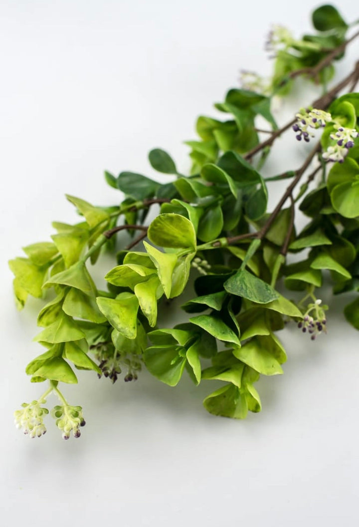 Eucalyptus with purple seeds spray - Greenery Market2310435GP