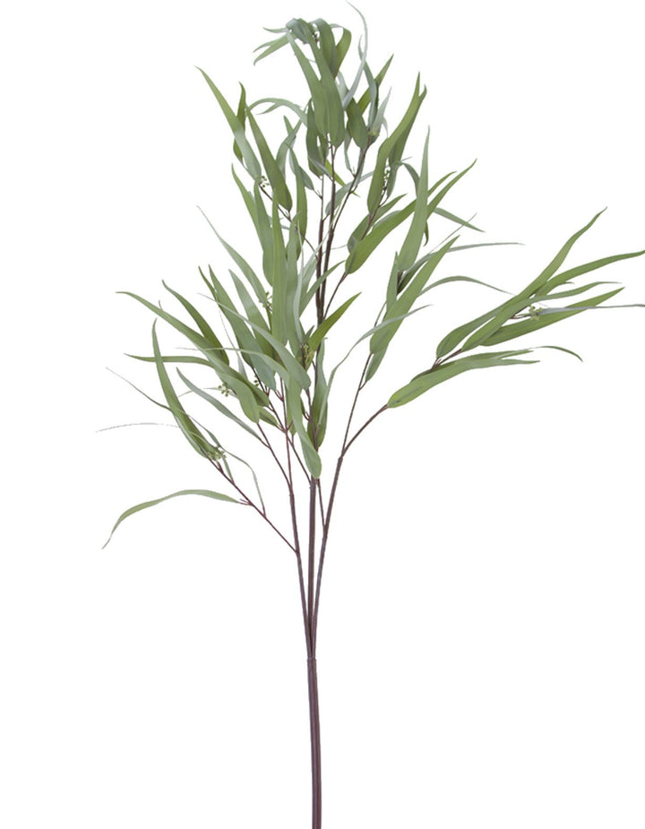 Feather leaf eucalyptus spray - Greenery Market2310210SG