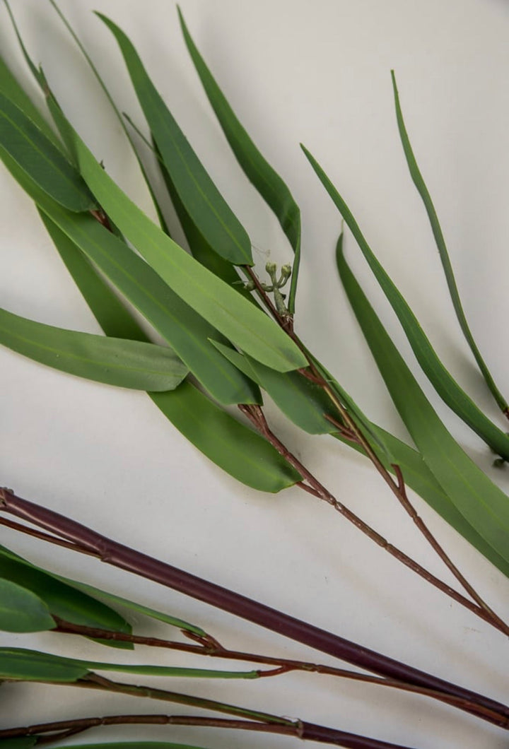 Feather leaf eucalyptus spray - Greenery Market2310210SG