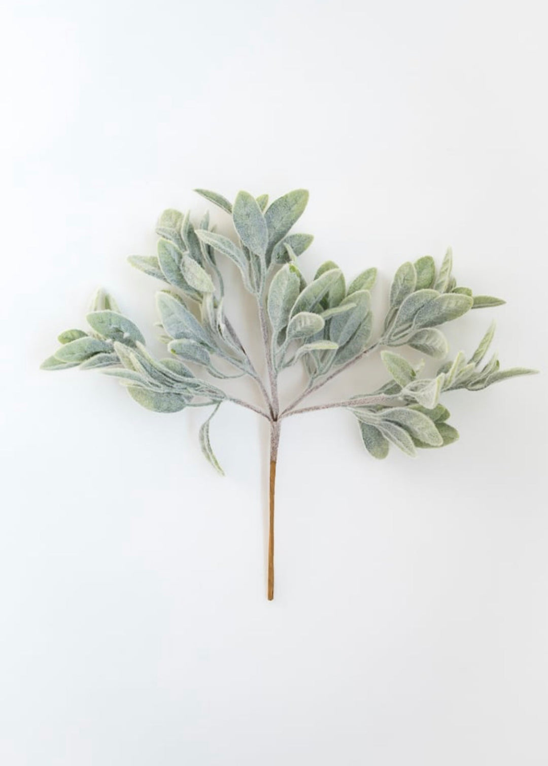 Frosted Leaves bush - Greenery Market83593