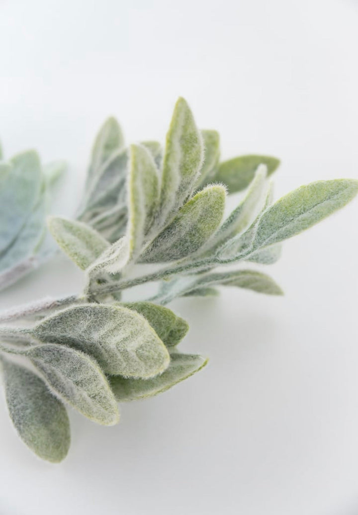 Frosted Leaves bush - Greenery Market83593