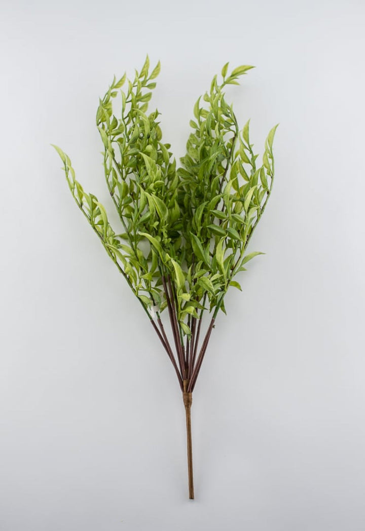 Green nandina leaf greenery bush - Greenery Marketspring summer greeneryfl3716-g