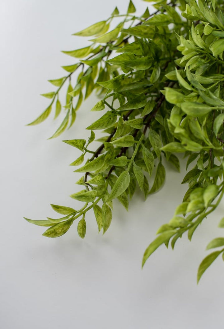 Green nandina leaf greenery bush - Greenery Marketspring summer greeneryfl3716-g