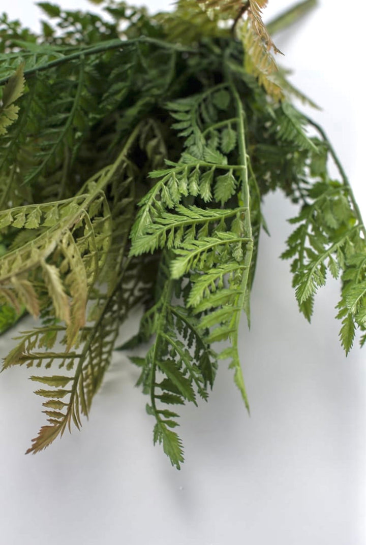 Leather leaf Artificial fern bush - Greenery Marketgreenery25947