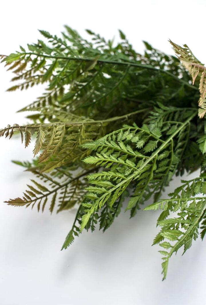 Leather leaf Artificial fern bush - Greenery Marketgreenery25947