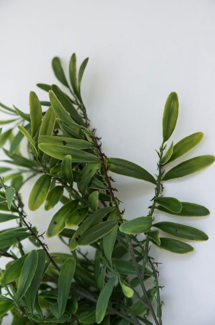 Life like Greenery leaf bush - Greenery MarketArtificial Flora26932