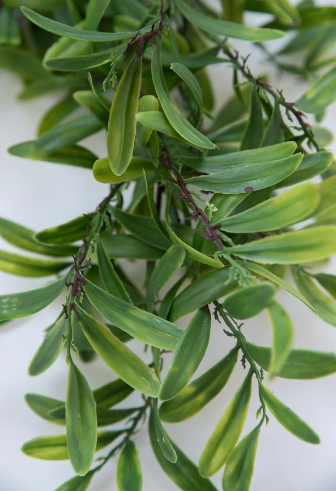 Life like Greenery leaf bush - Greenery MarketArtificial Flora26932