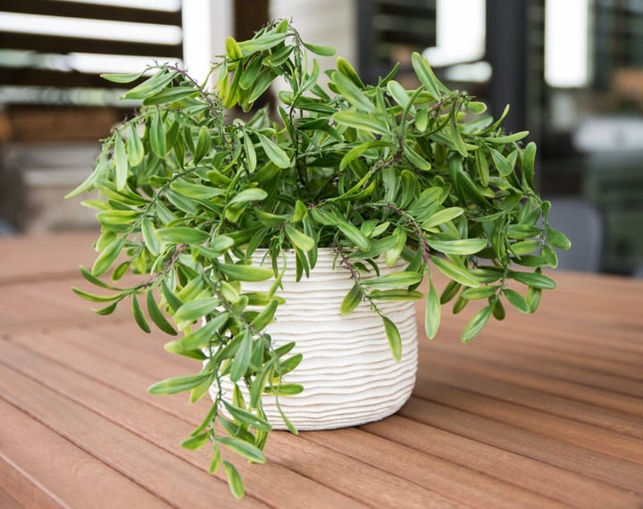 Life like Greenery leaf bush - Greenery MarketArtificial Flora26932