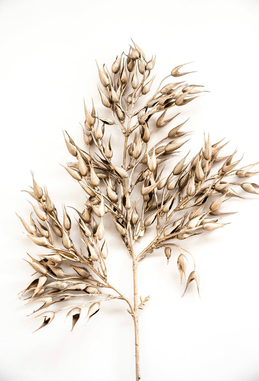 Metallic oats spray - platinum - Greenery MarketXg868-PT
