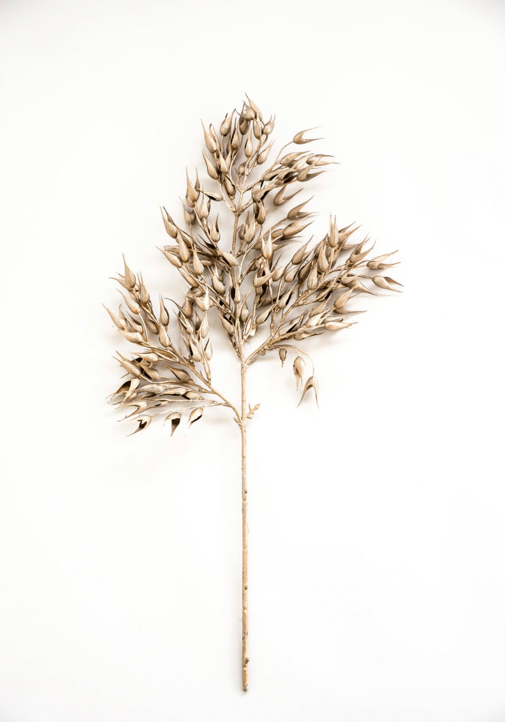 Metallic oats spray - platinum - Greenery MarketXg868-PT