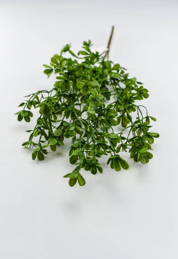mini flowering greenery bush - Greenery Market84063