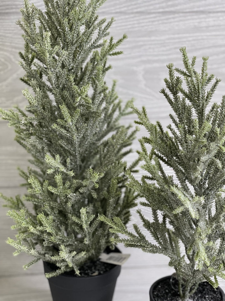 Mini potted Christmas tree - with ice 16” - Greenery Market Home decor