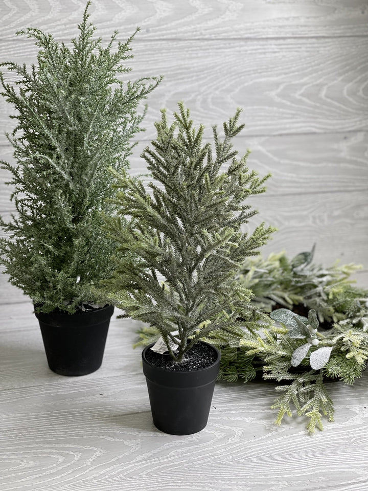 Mini potted Christmas tree - with ice 16” - Greenery Market Home decor