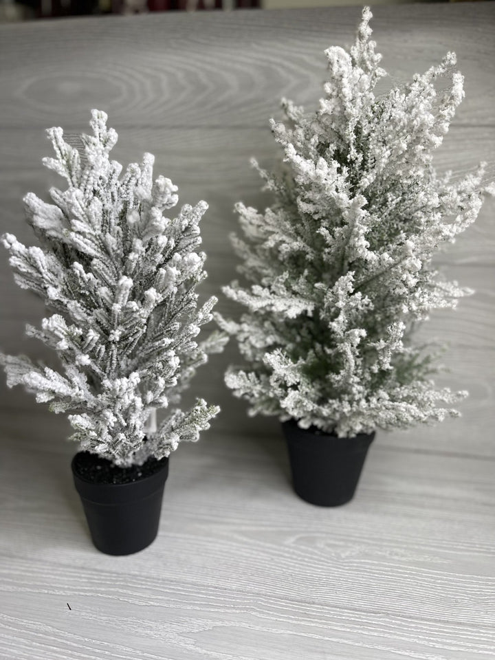 Mini potted Christmas tree - with snow 20” - Greenery Market Home decor