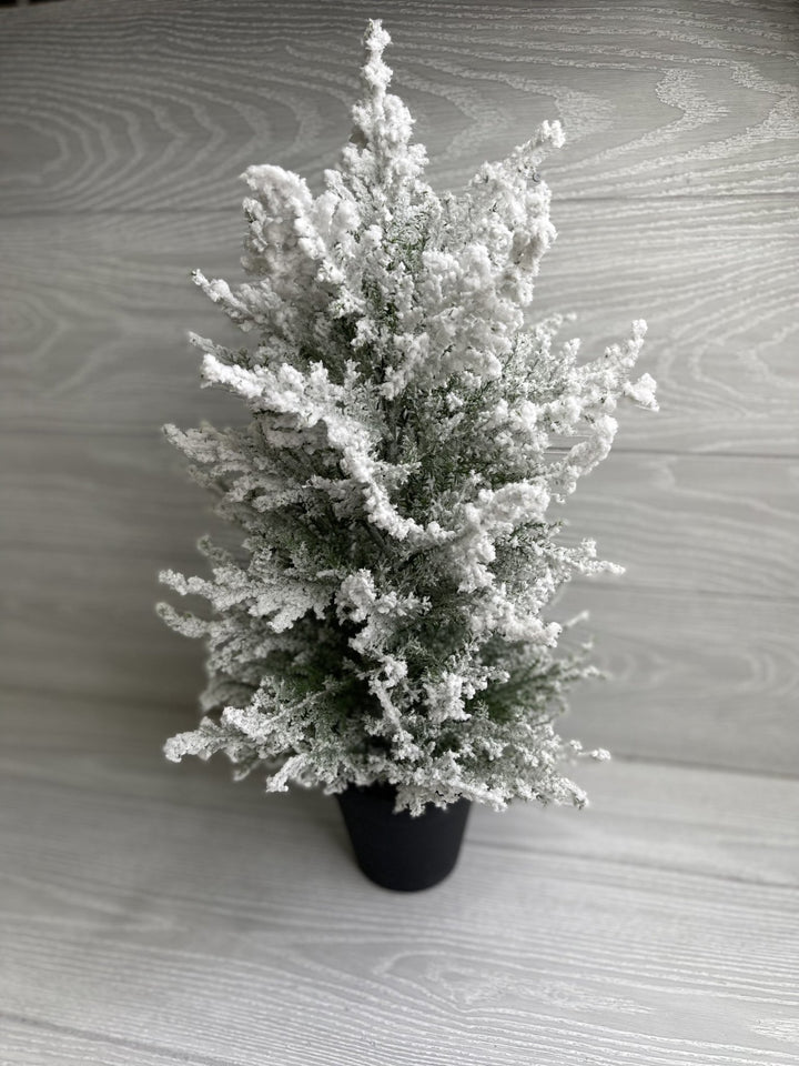 Mini potted Christmas tree - with snow 20” - Greenery Market Home decor