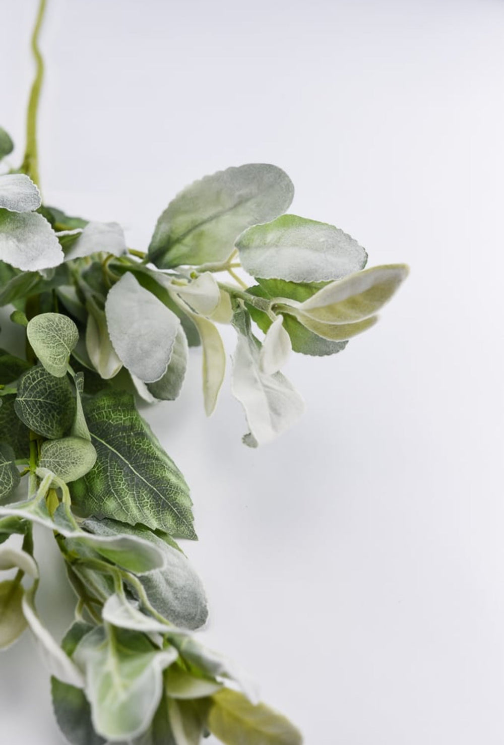 mixed lambs ear greenery spray - Greenery Marketgreenery63422