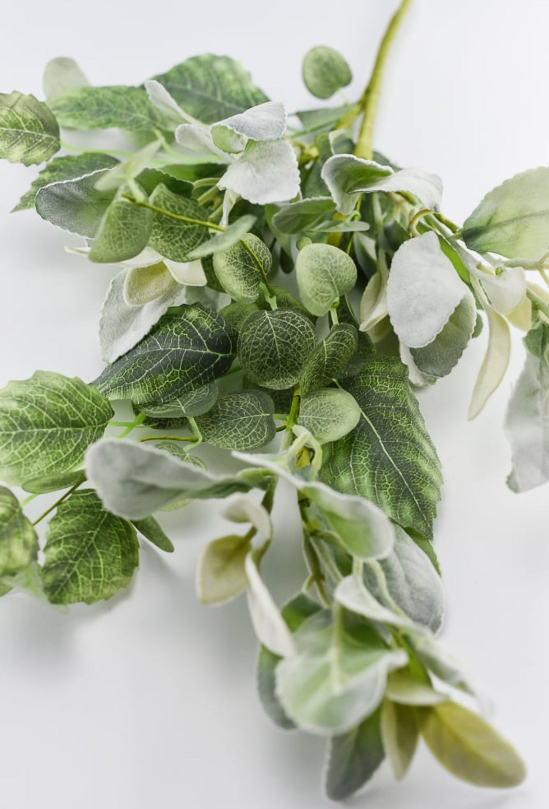 mixed lambs ear greenery spray - Greenery Marketgreenery63422
