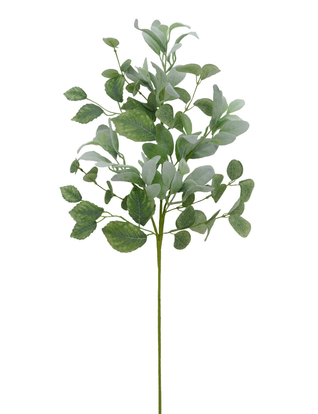 mixed lambs ear greenery spray - Greenery Marketgreenery63422
