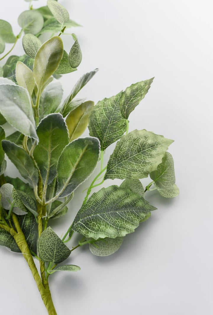 mixed lambs ear greenery spray - Greenery Marketgreenery63422