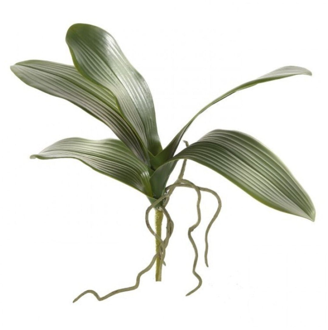phalaenopsis, orchid Flower foliage - Greenery MarketArtificial FloraMTF19736