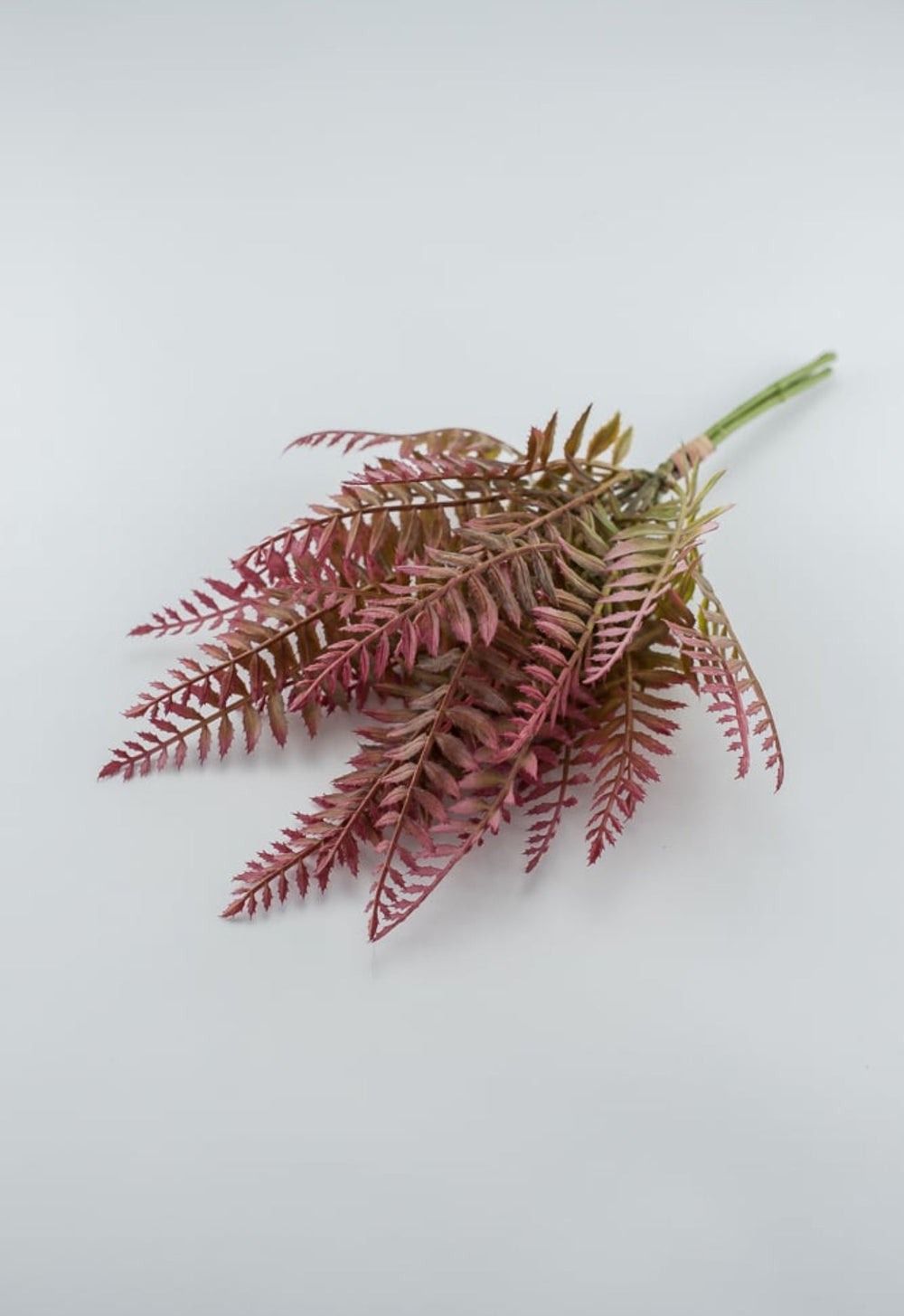 Pink tipped fern greenery bush - Greenery MarketFL6355-MAUG