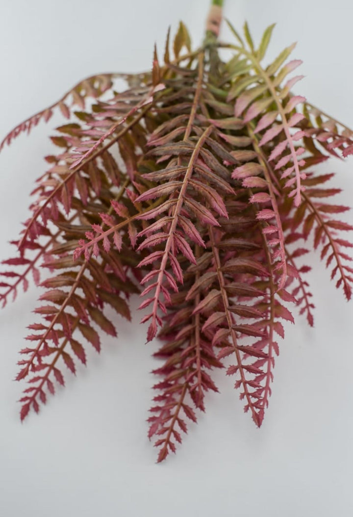 Pink tipped fern greenery bush - Greenery MarketFL6355-MAUG