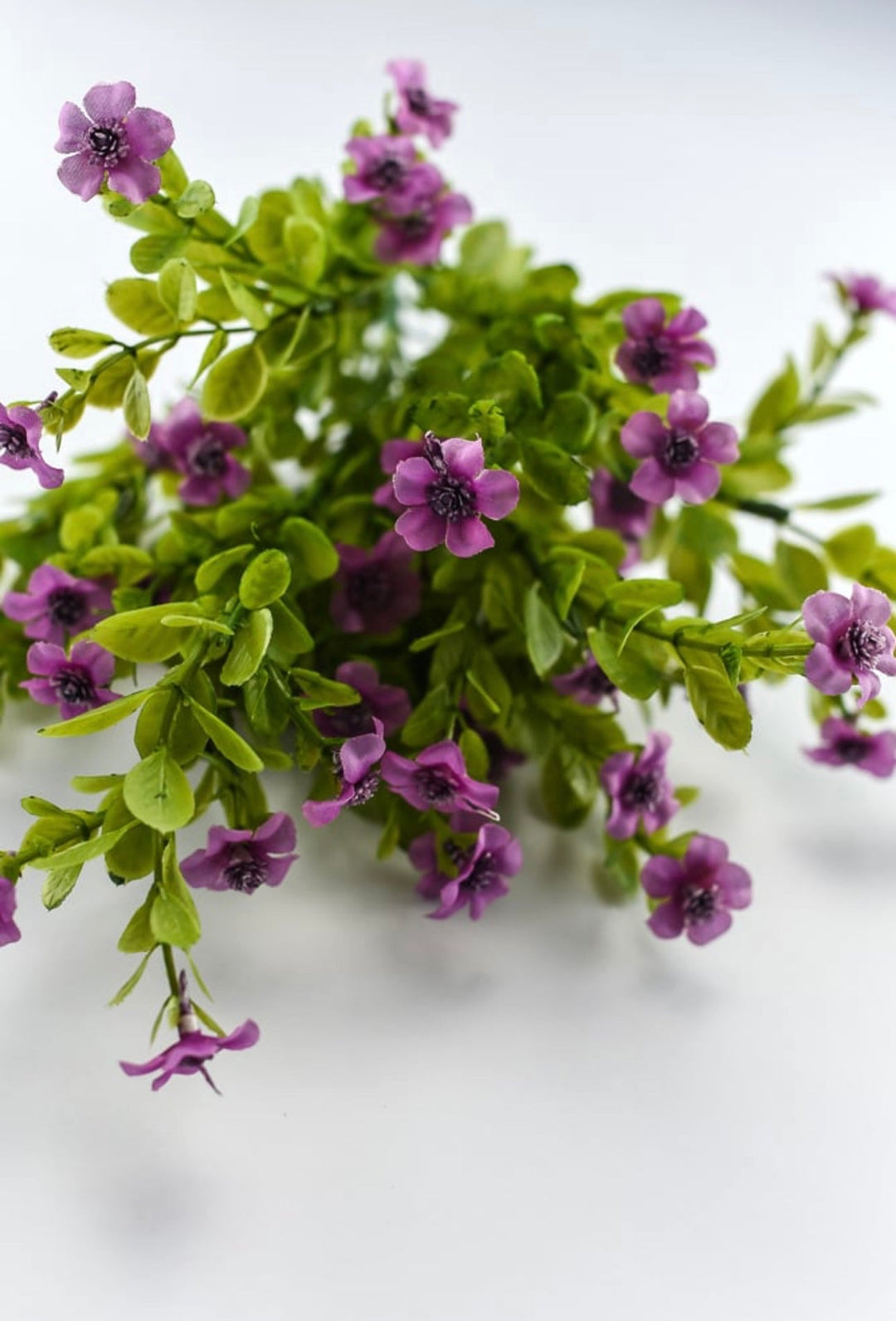 Purple filler flower bush - Greenery Market82396-fu