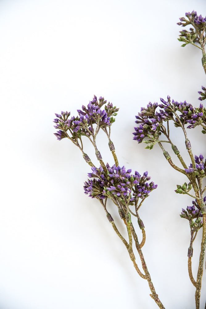 Purple seeds berry bush - Greenery Market6087-pug