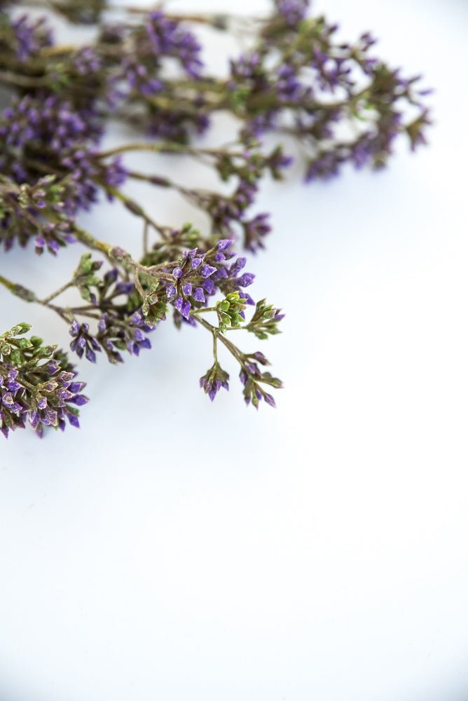 Purple seeds berry bush - Greenery Market6087-pug