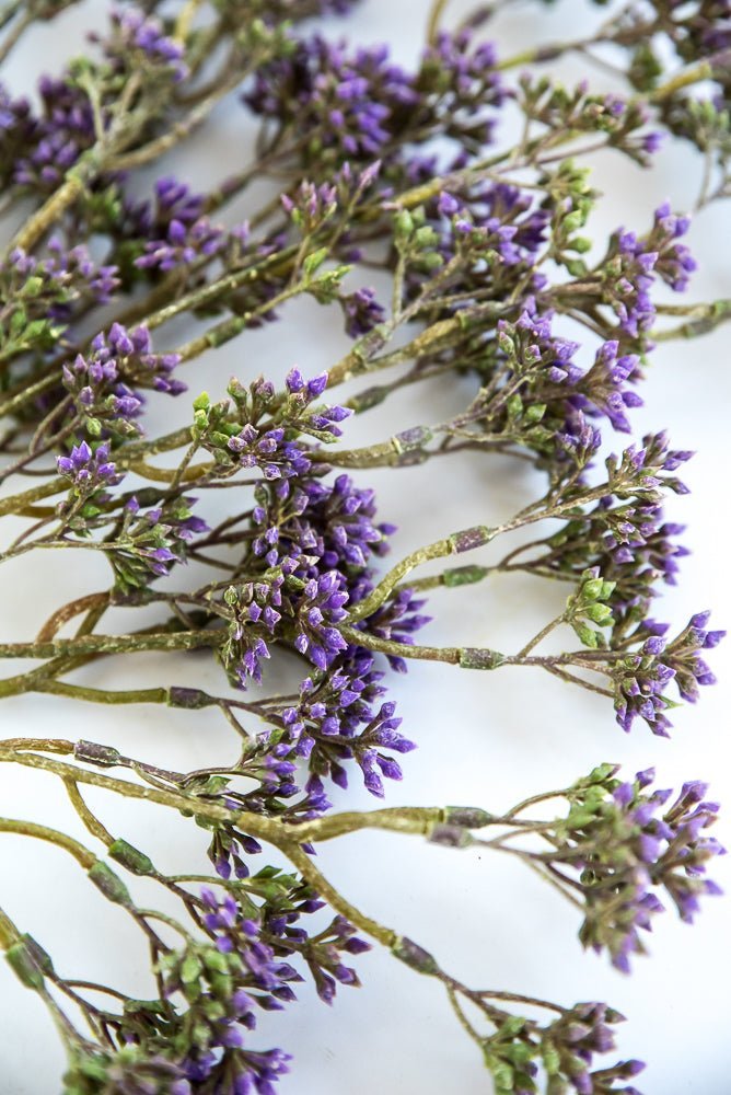 Purple seeds berry bush - Greenery Market6087-pug