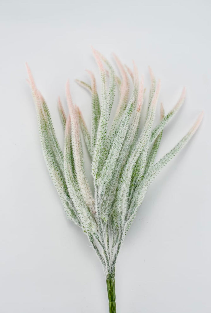 Tail bush with pink tips - Greenery Market26946
