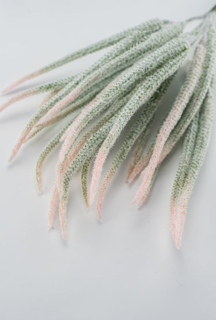 Tail bush with pink tips - Greenery Market26946