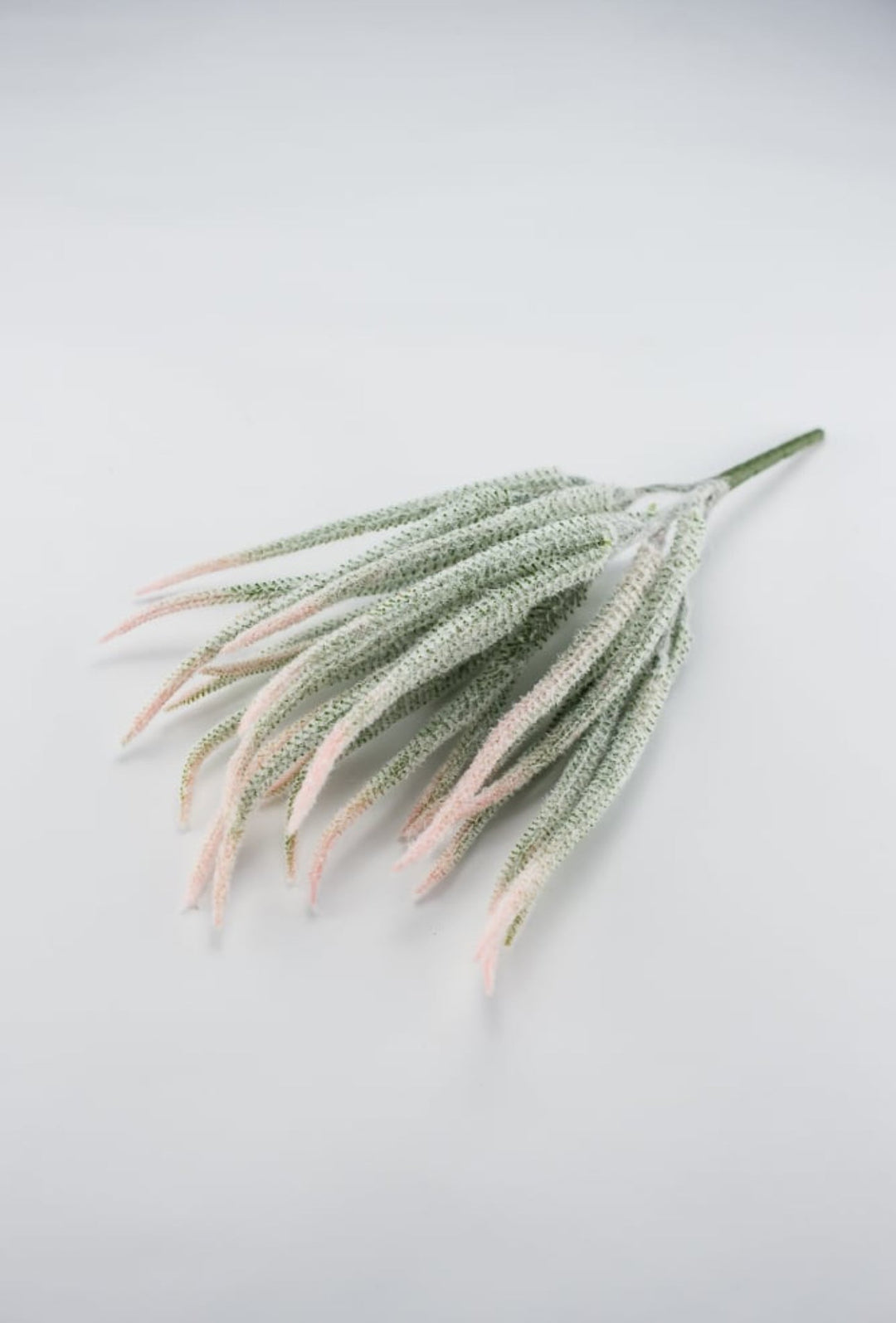 Tail bush with pink tips - Greenery Market26946