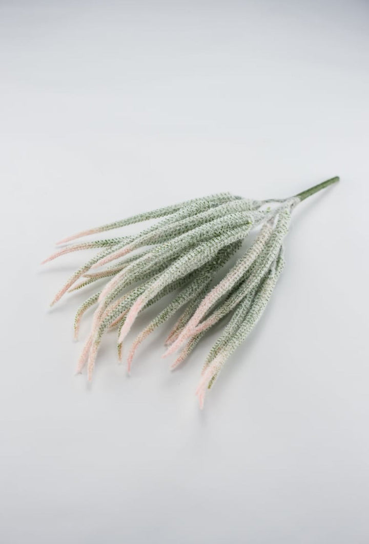 Tail bush with pink tips - Greenery Market26946