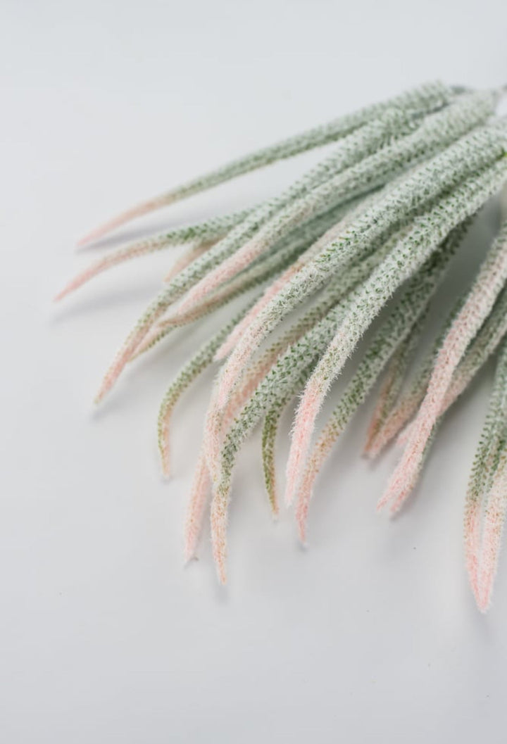 Tail bush with pink tips - Greenery Market26946