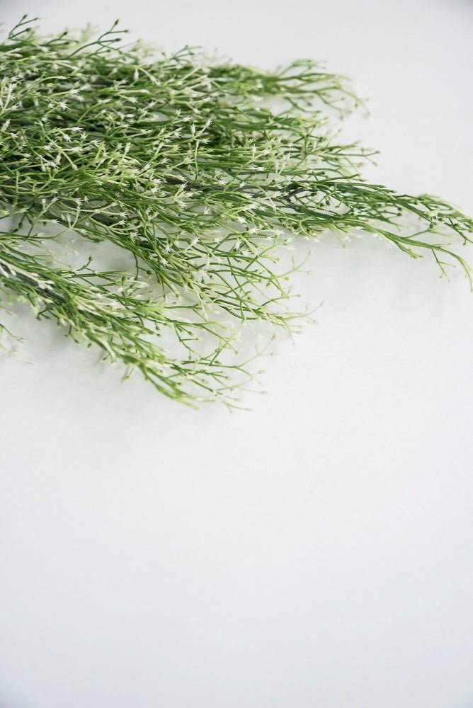 White tipped, fine wild grass bush - Greenery Market26927