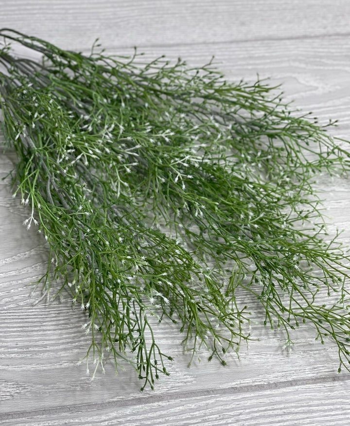 White tipped, fine wild grass bush - Greenery Market26927