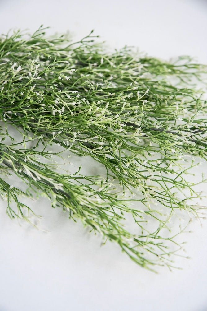 White tipped, fine wild grass bush - Greenery Market26927