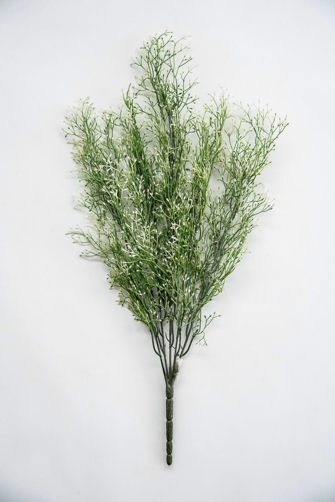 White tipped, fine wild grass bush - Greenery Market26927