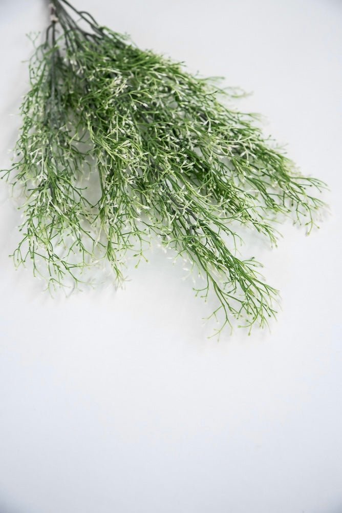 White tipped, fine wild grass bush - Greenery Market26927