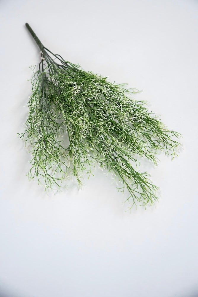 White tipped, fine wild grass bush - Greenery Market26927