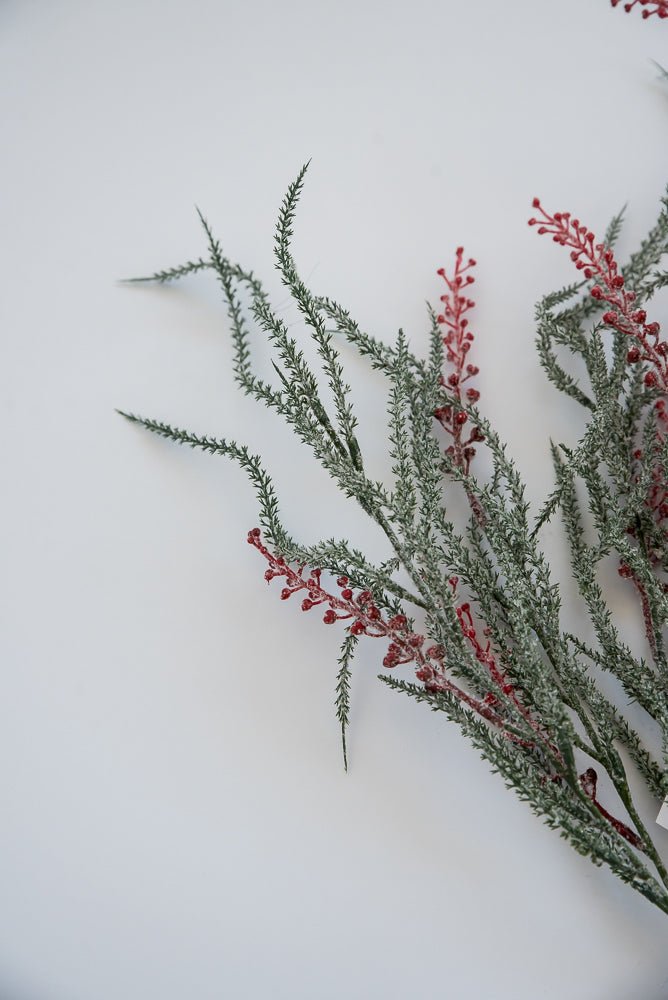 Winter willow bush with red berries - Greenery Market83569